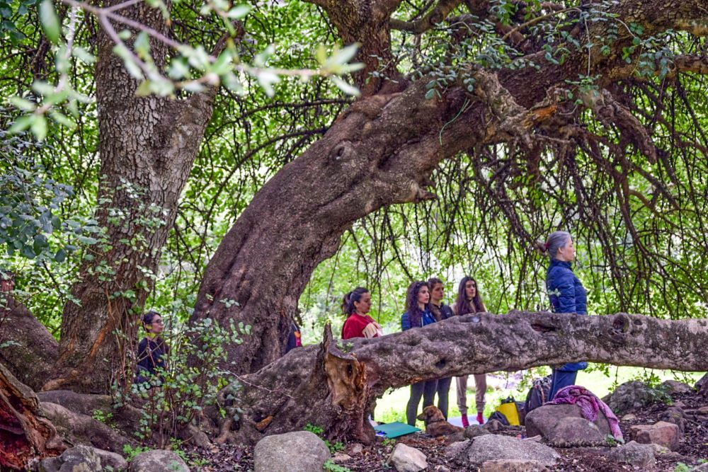 Benessere in natura con lo yoga e le erbe