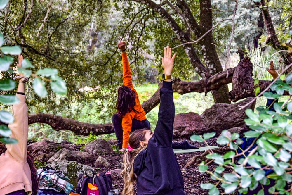 Benessere in natura con lo yoga e le erbe