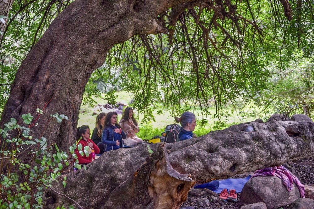 Benessere in natura con lo yoga e le erbe