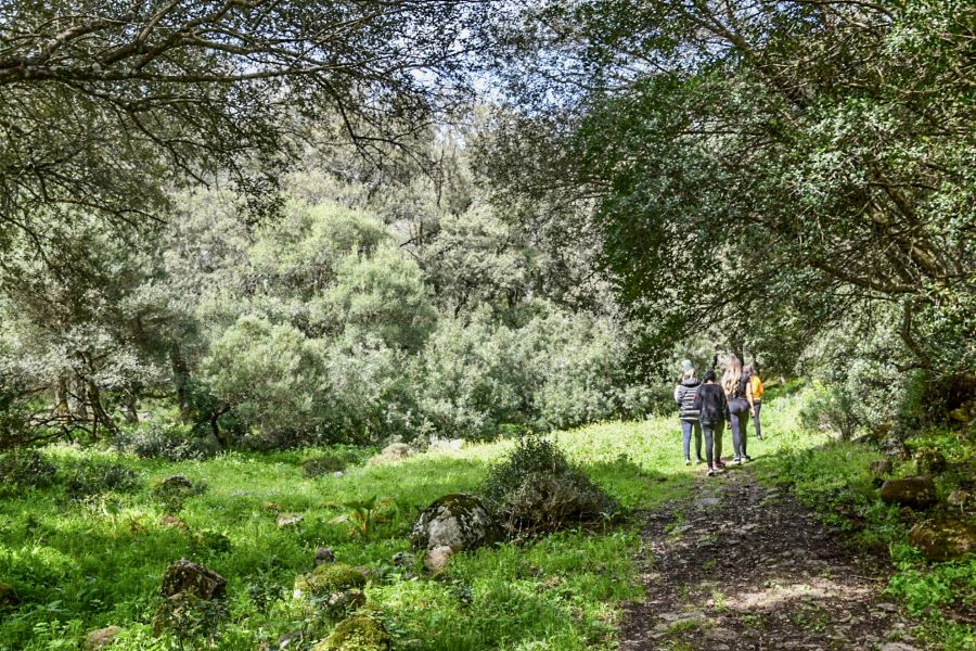 Benessere in natura con lo yoga e le erbe