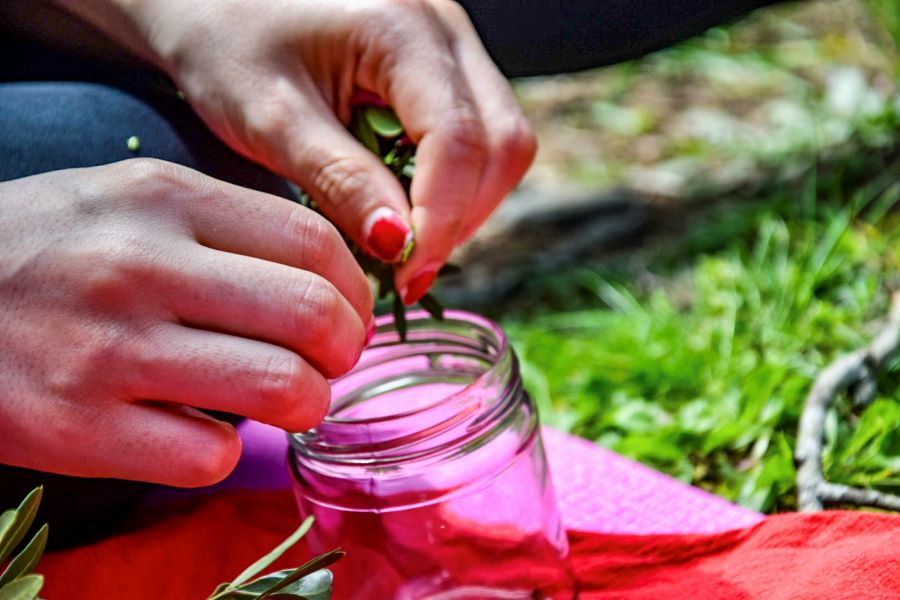 Benessere in natura con lo yoga e le erbe - immagine 12