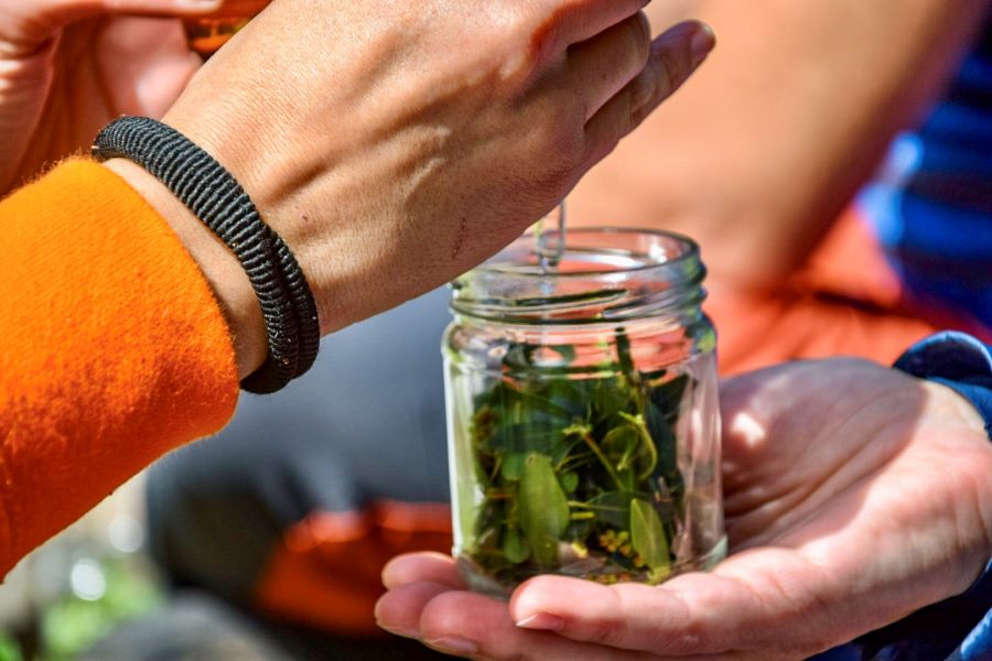 Benessere in natura con lo yoga e le erbe