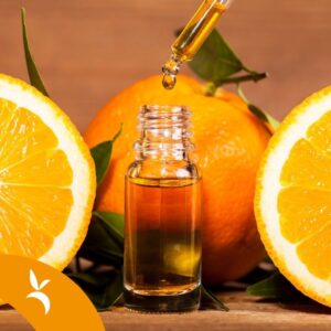 L'arte della distillazione degli oli essenziali tra gli agrumeti di Villacidro