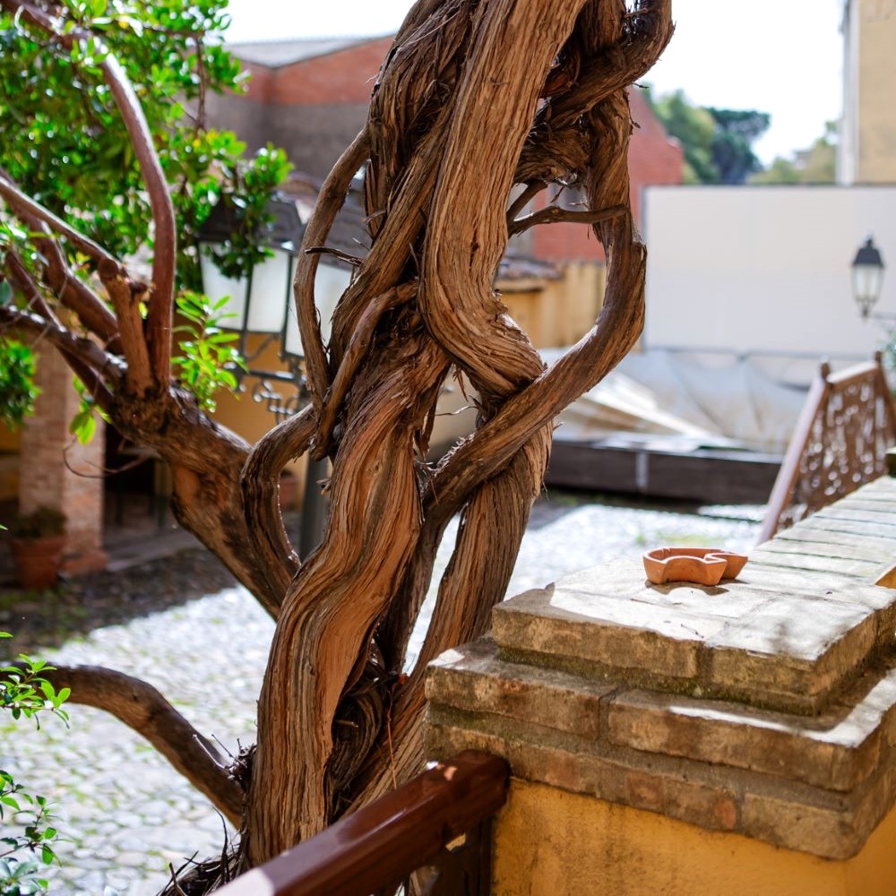 Cibo e memorie: passeggiata nel paese d'ombre di Giuseppe Dessì