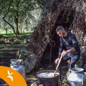 Picnic con il pastore