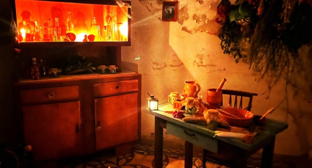 I sentieri delle cogas: la magia delle erbe