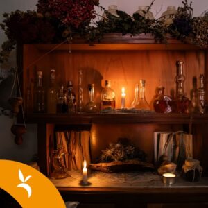 La magia delle erbe in Sardegna