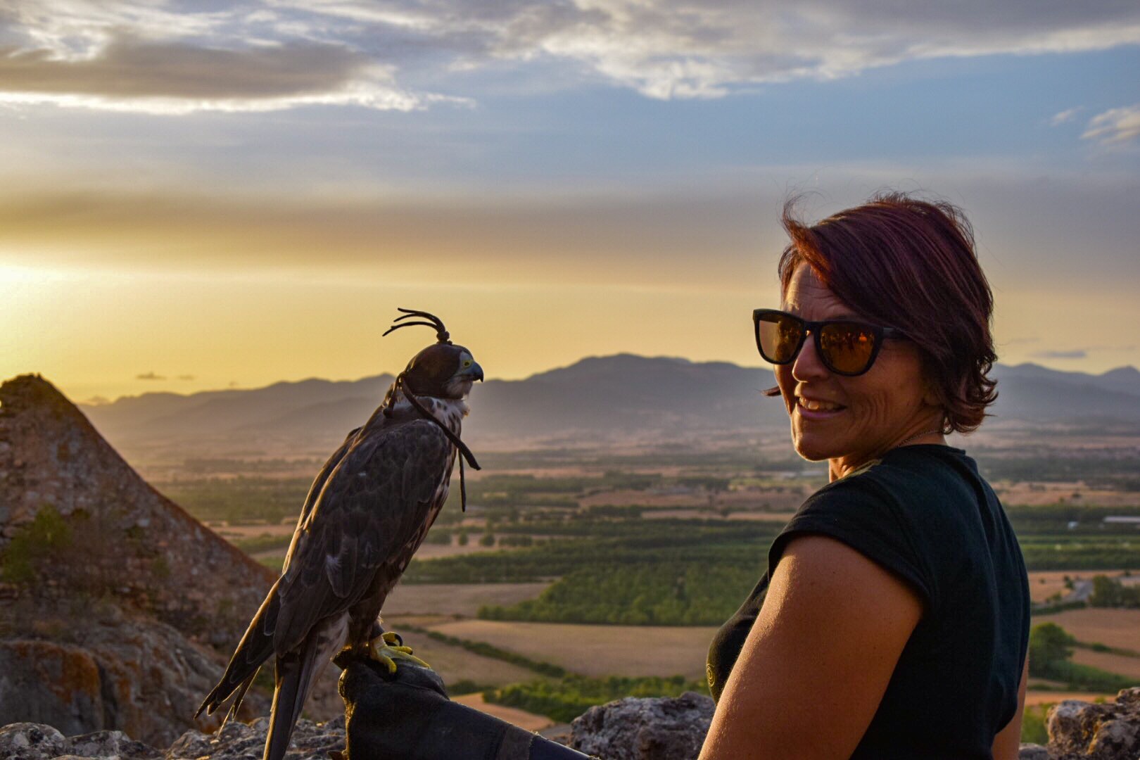 Falconiere per un giorno in Sardegna: incontro esclusivo per 2 persone! - immagine 18