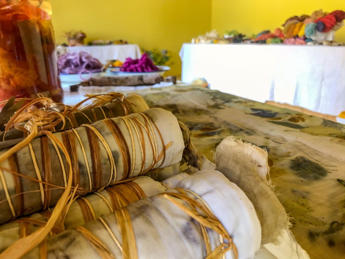 L'arte di tingere i tessuti con le piante