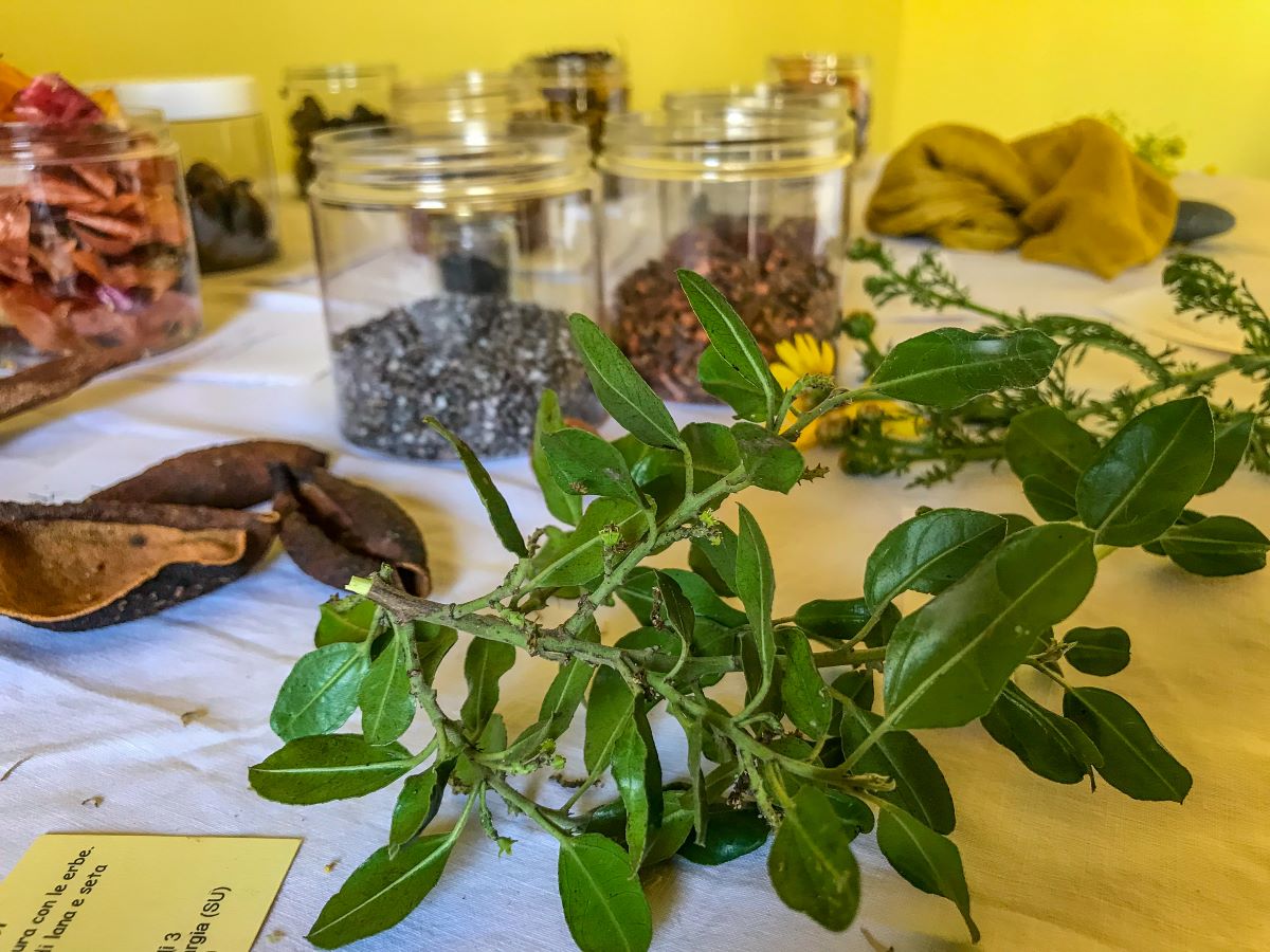 L'arte di tingere i tessuti con le piante