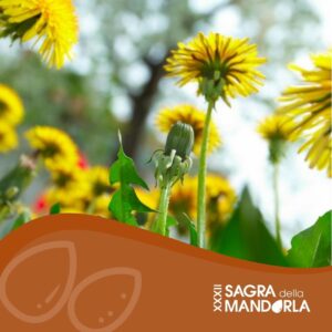 Passeggiata etnobotanica tra le corti di Baressa