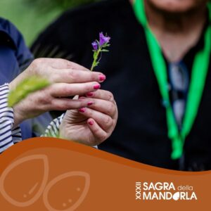 Passeggiata etnobotanica tra le corti di Baressa