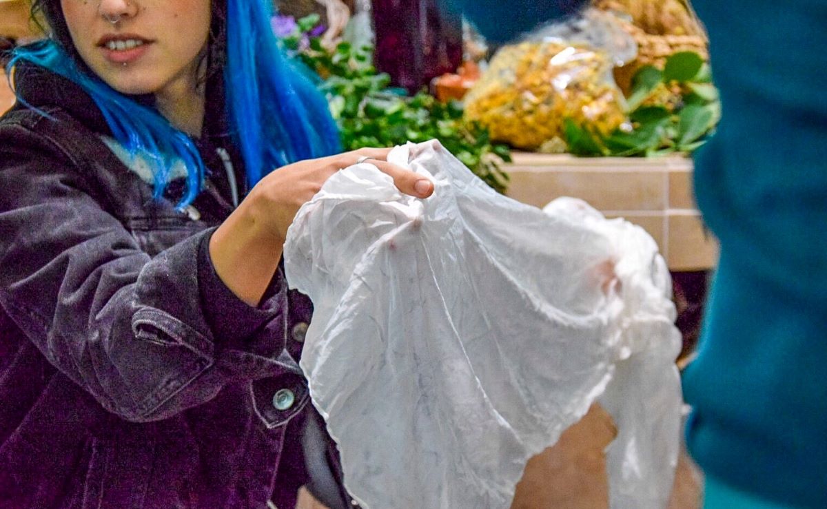 Villamassargia - Il paese degli ulivi monumentali