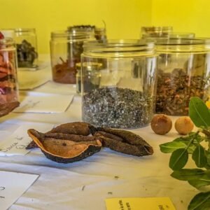 L'arte di tingere i tessuti con le piante