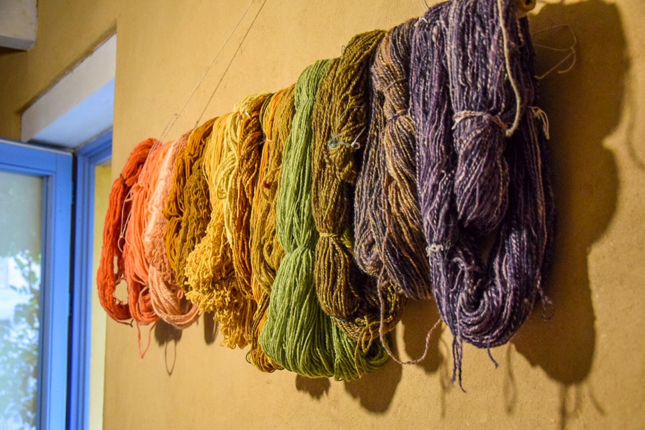 Villamassargia - Il paese degli ulivi monumentali