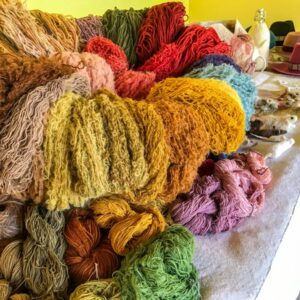 L'arte di tingere i tessuti con le piante