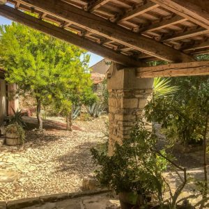 Passeggiata etnobotanica tra le corti di Baressa