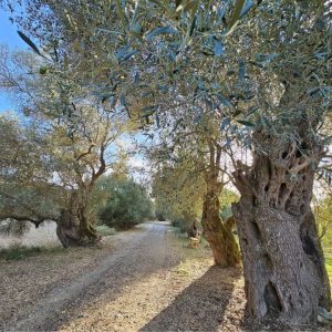 Passeggiata al Sentiero dei Magnifici - DOMENICA