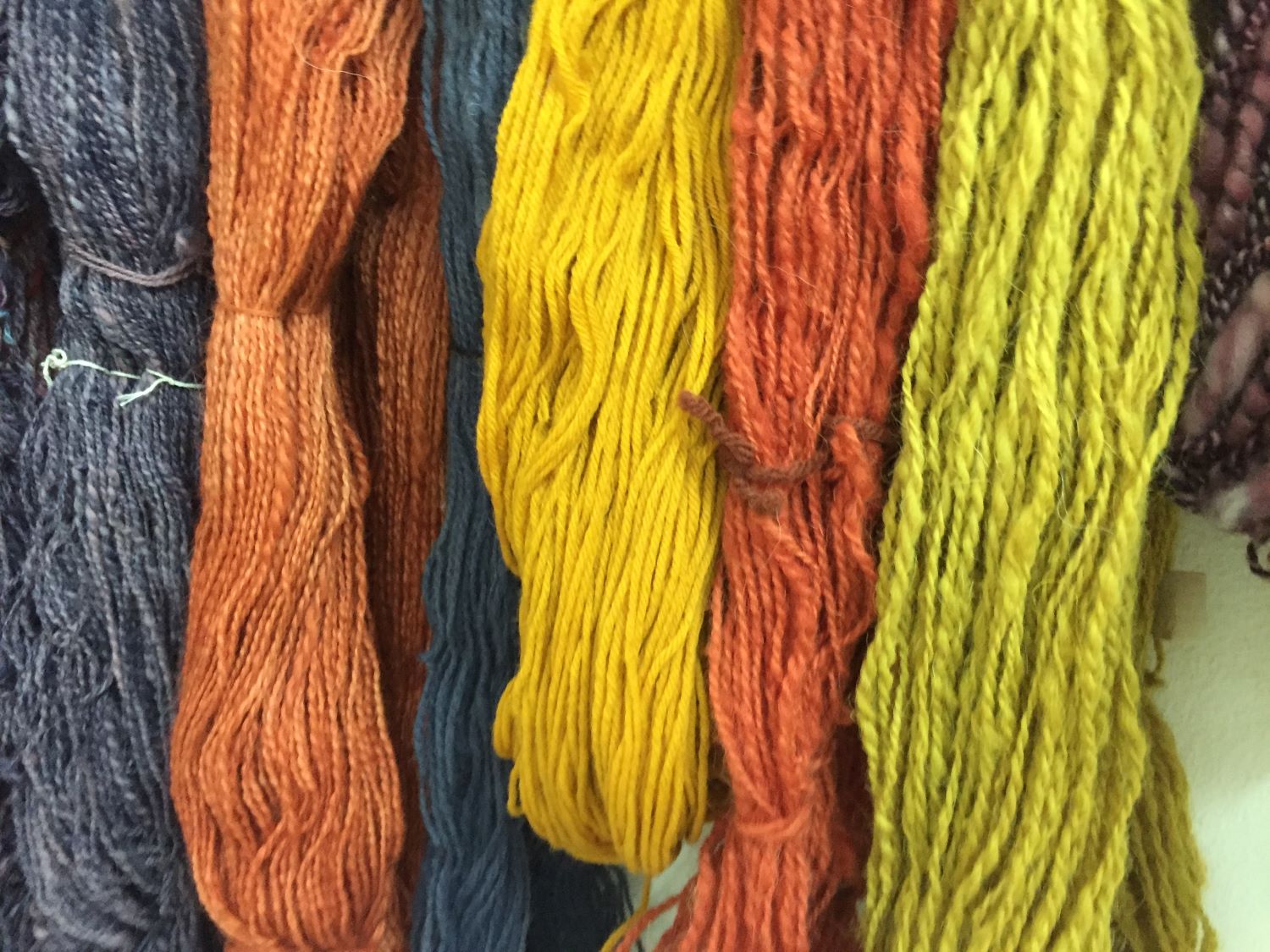 L'arte di tingere i tessuti con le piante