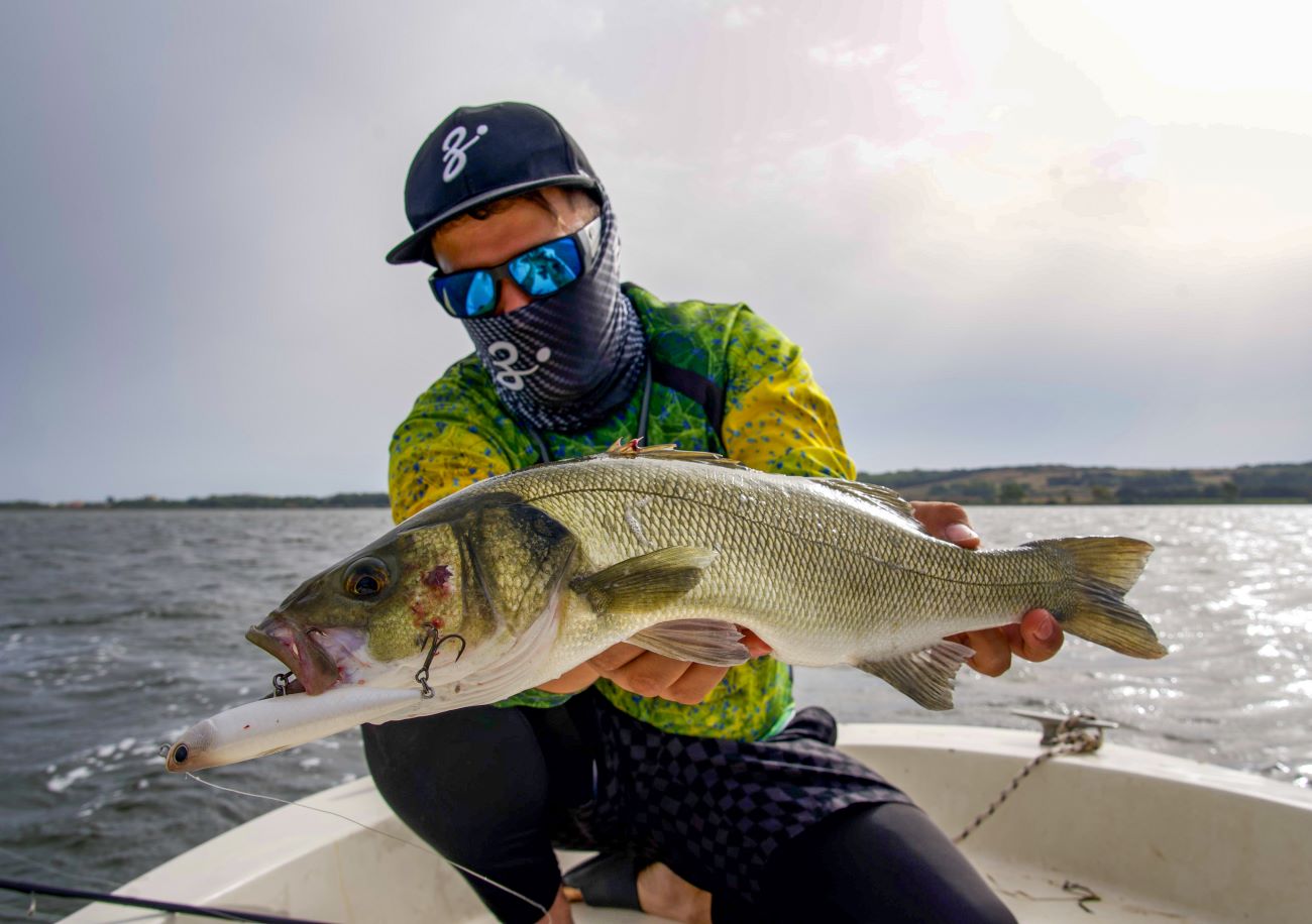 Pesca sportiva alla spigola in laguna