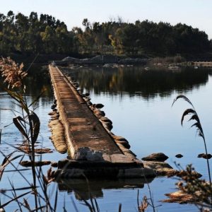Escursione Terre d'Acqua