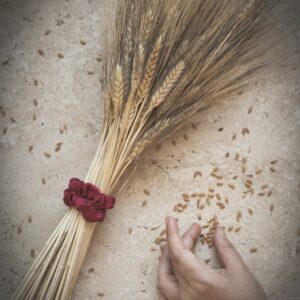 Grano e pane: mito, vita, morte, rinascita