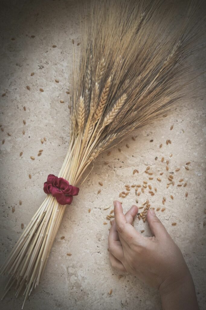 Grano e pane: mito, vita, morte, rinascita