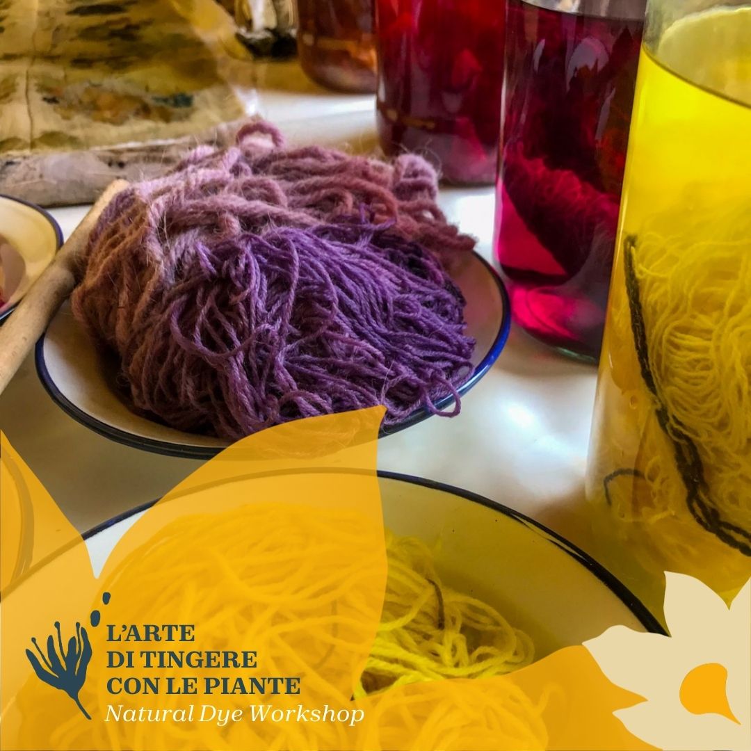 L'arte di tingere i tessuti con le piante - immagine 2