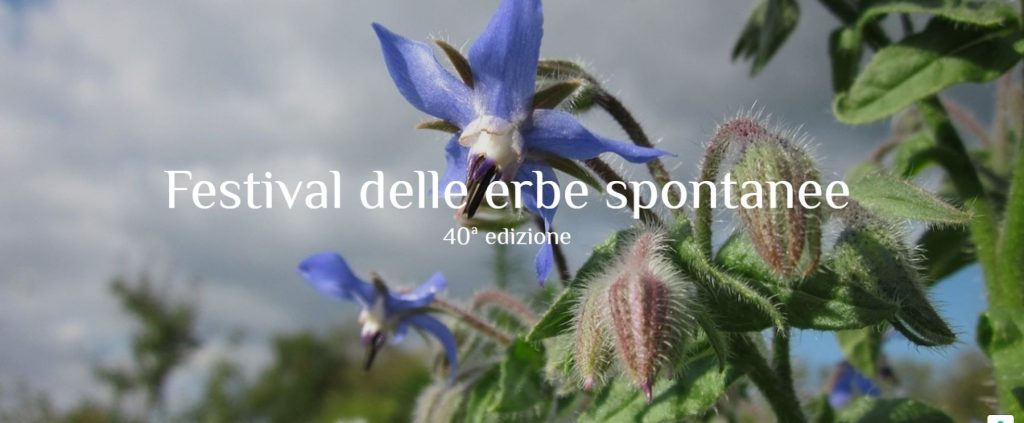 FESTIVAL DELLE ERBE SPONTANEE