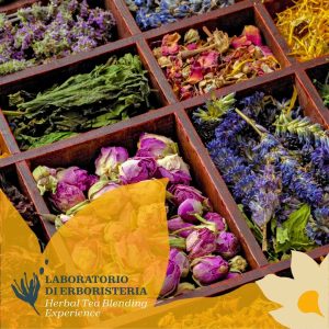 LABORATORIO DI ERBORISTERIA APPLICATA