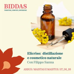 Elicriso: distillazione e laboratorio di cosmesi naturale