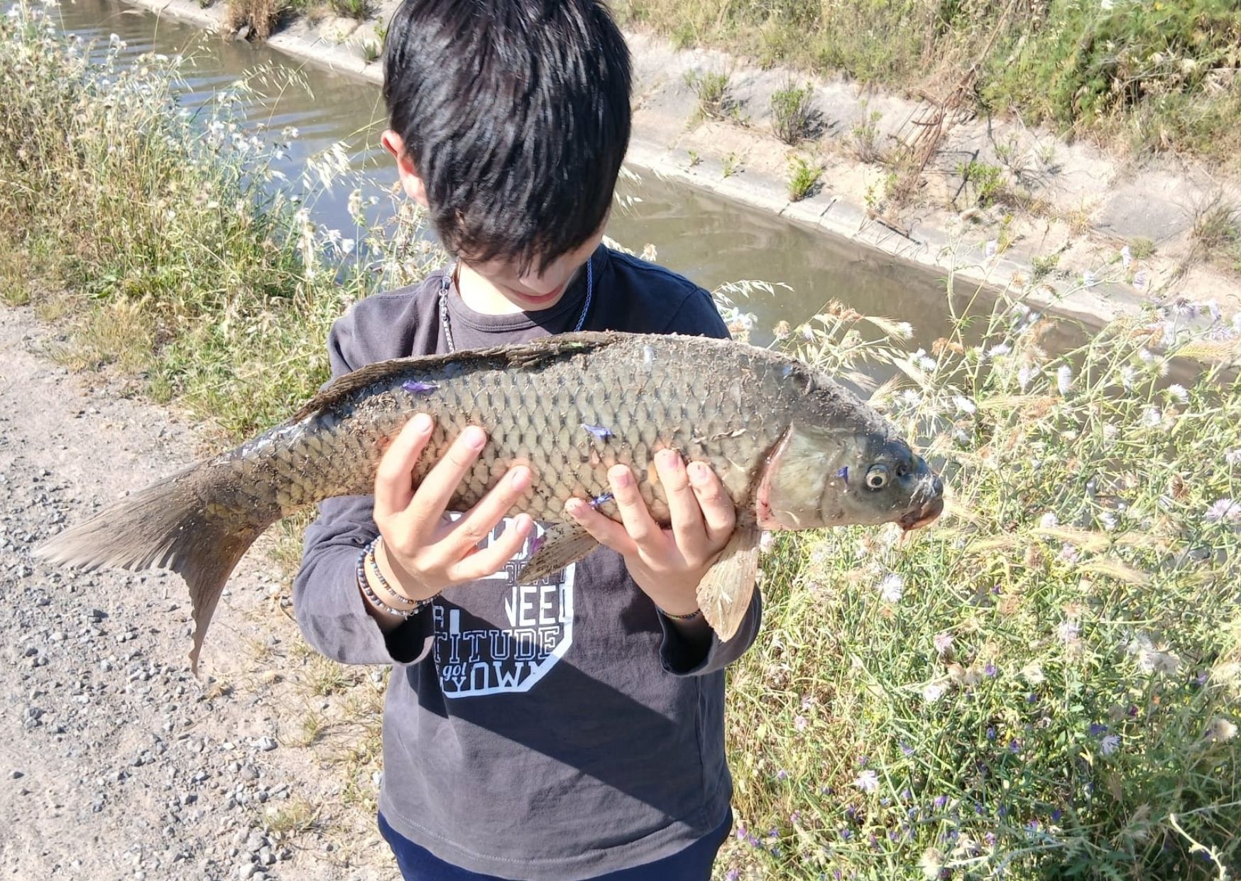 Pesca alla carpa all'oasi di Pischeredda - immagine 10