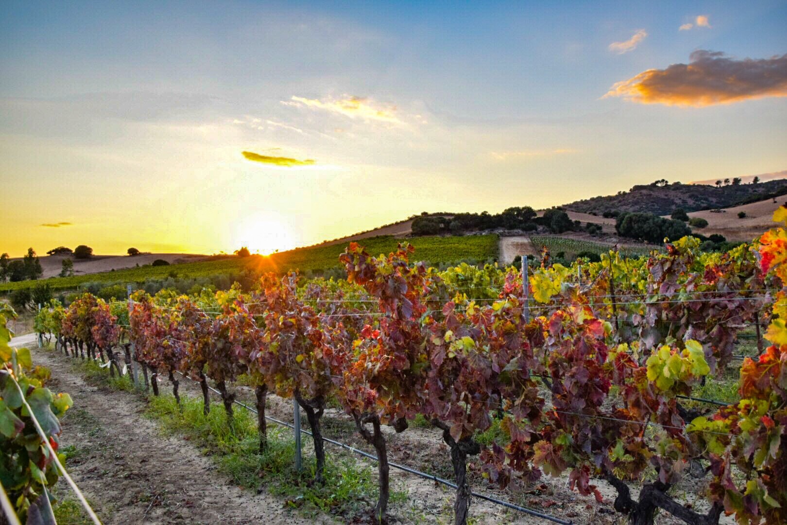Atelier del Gusto - Percorso di abbinamento vini e formaggi - immagine 7