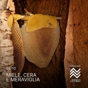 Miele, Cera e Meraviglia