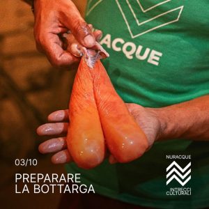 Laboratorio sulla preparazione della bottarga