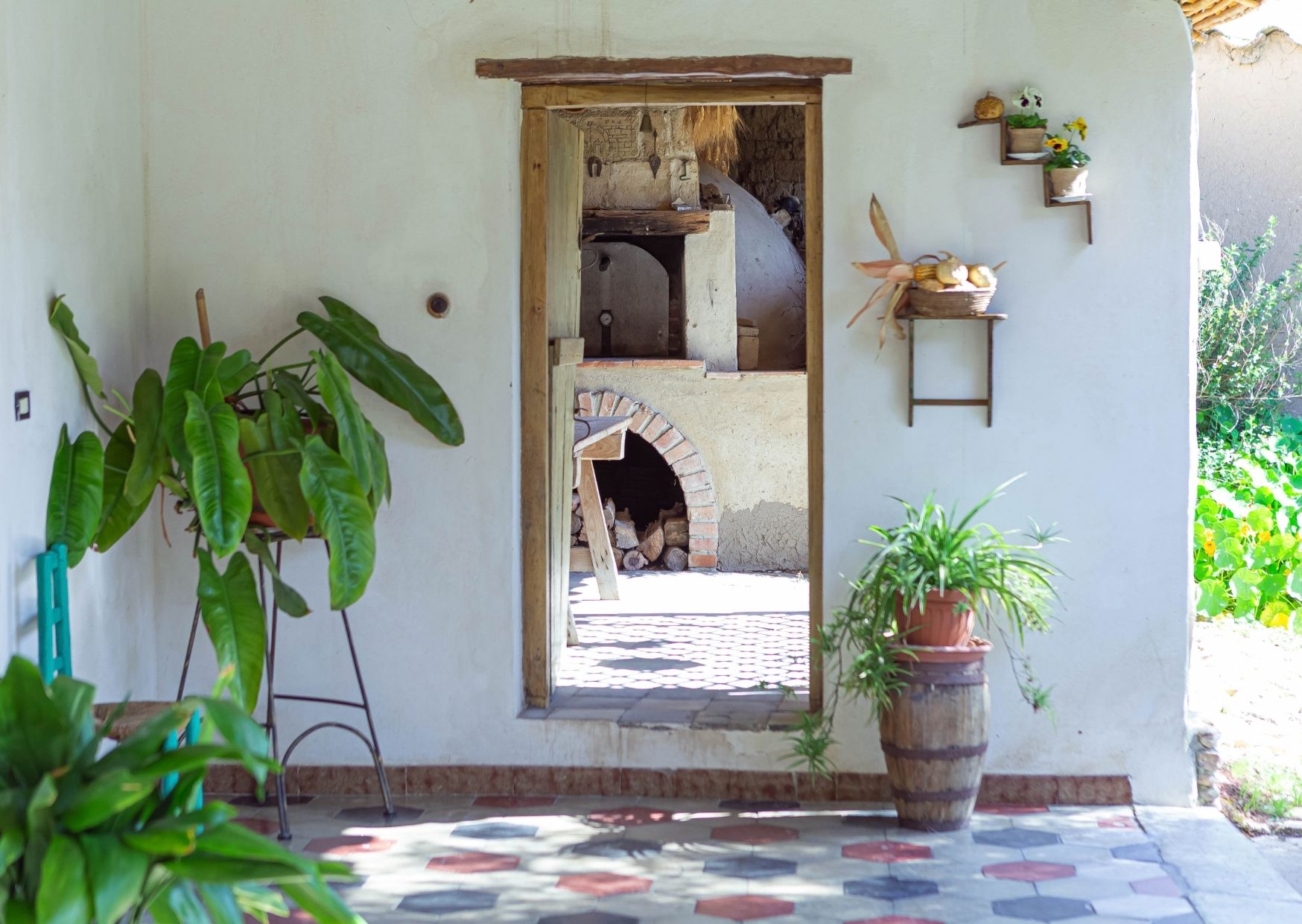 Passeggiata etnobotanica tra le corti di Samassi - immagine 5