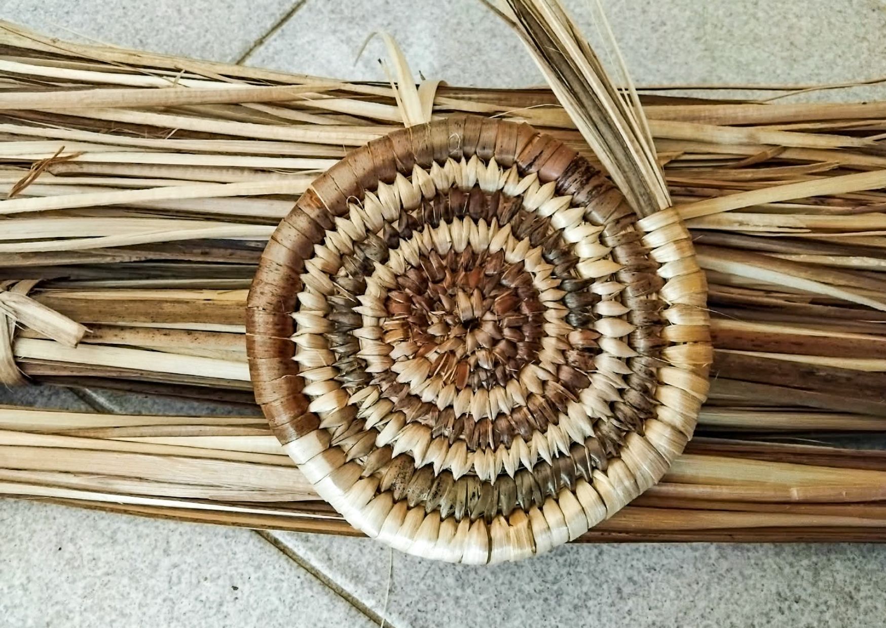 Spirali della Memoria: laboratorio d'intreccio - immagine 2