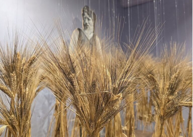 Percorsi espositivi al Museo Casa del Pane