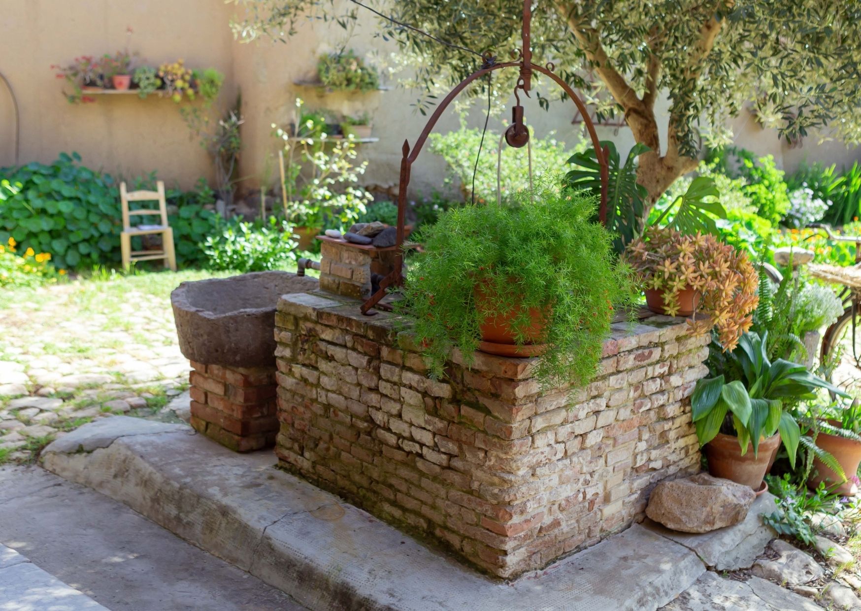 Passeggiata etnobotanica tra le corti di Samassi - immagine 10